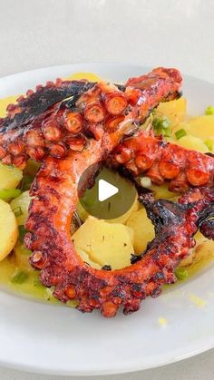 an octopus dish with potatoes and olives on a white plate