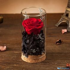 a red rose in a glass vase on a wooden table next to the eiffel tower