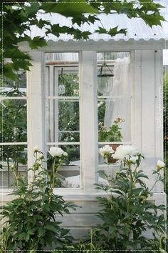 an old white house with roses in the window and potted plants on the porch