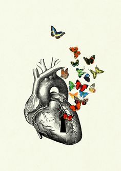 a drawing of a heart with butterflies coming out of it's side and on top of the image is a butterfly flying in the shape of a human heart