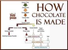 how chocolate is made info graphic