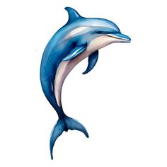 a blue and white dolphin is jumping in the air