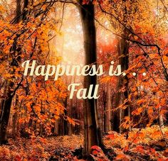 the words happiness is, fall are shown in front of an image of trees and leaves