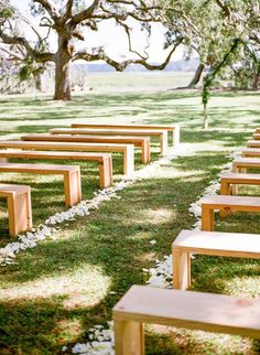 rows of wooden benches sitting on top of a lush green field next to a tree