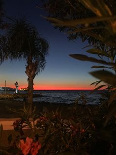 the sun is setting behind some palm trees