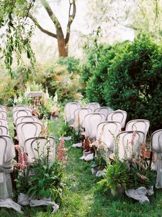 rows of white chairs sitting in the grass