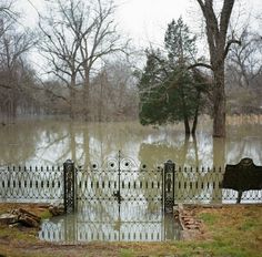 an iron gate is surrounded by water in a flooded area with trees and bushes on either side