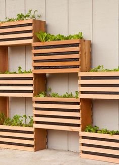 several wooden planters with plants growing in them on the side of a building wall