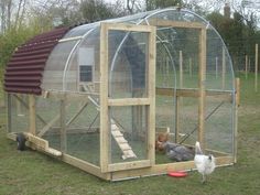 two chickens in a chicken coop on the grass