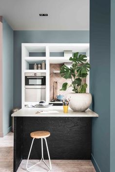 a kitchen counter with a potted plant in the center and a stool next to it