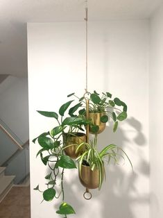 three hanging planters filled with green plants on a wall next to a stair case