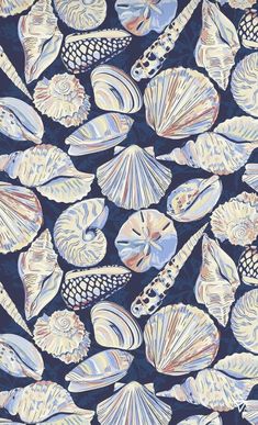 an image of seashells on a blue background