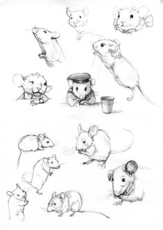 several drawings of mice and mice in various poses