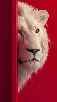 a white lion peeking out from behind a red door