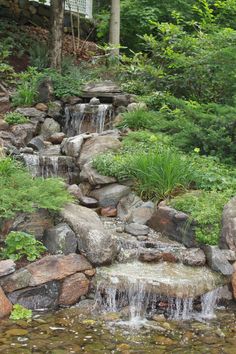 a small waterfall in the middle of a garden