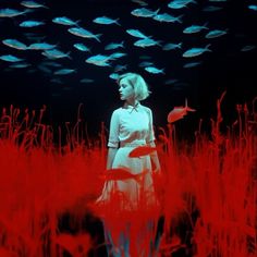 a woman standing in the middle of a field surrounded by fish