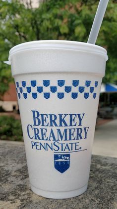 a cup with a straw in it sitting on top of a stone wall next to trees