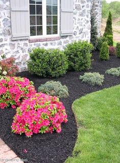 landscaping in front of a house with flowers and shrubs