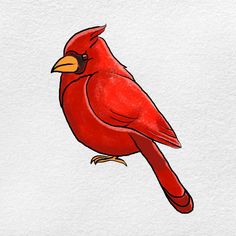 a drawing of a red bird sitting on top of a white wall