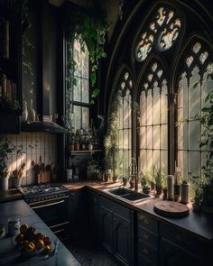 a kitchen with lots of windows and plants on the counter