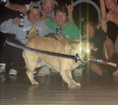 a group of people posing with a dog