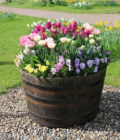 a wooden barrel filled with lots of flowers on top of a gravel covered ground next to grass