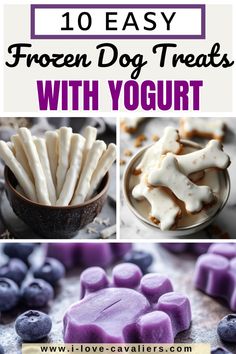 frozen dog treats with yogurt and blueberries on the side, including marshmallows