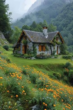 a house in the mountains surrounded by wildflowers