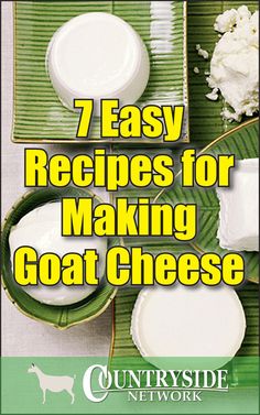 the cover of 7 easy recipes for making goat cheese by country side network, inc