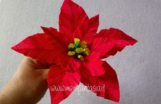 a hand holding a paper poinsettia on a white background