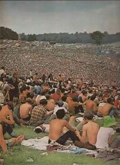 Summer of 69 1969 Woodstock, Woodstock Photos, Foto Muro Collage