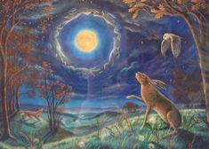 a painting of a rabbit in the woods with an owl flying over it and another bird above