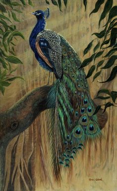 a painting of a peacock sitting on a tree branch with its tail feathers spread out