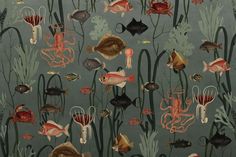 an underwater scene with fish, octopuses and other marine life on a gray background