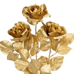 three golden roses with leaves on a white background