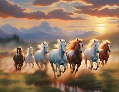 there are many horses running in the field