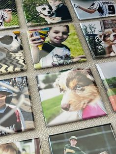 many different pictures are arranged on the floor with one person holding a cell phone and two dogs looking at them