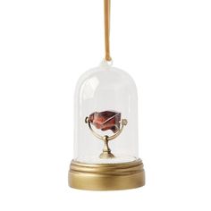 a glass bell with a gold base and a red object in it's dome