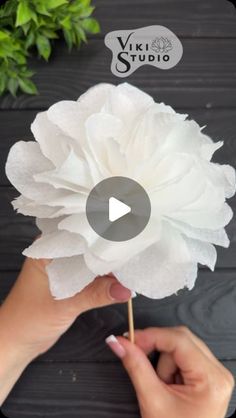 a person holding a white flower in their hand with the words viki studio on it