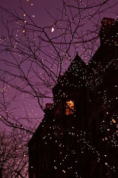 the night sky is lit up with christmas lights