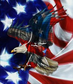 an eagle flying in front of the american flag with stars and stripes on it's wings