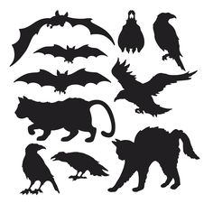 various silhouettes of animals and bats on a white background illustration for halloween decoration or design