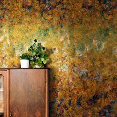 a wooden cabinet sitting in front of a wall with a plant on top of it