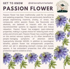 an advertisement for passion flower with blue flowers