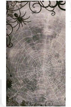 an image of a spider web in black and white