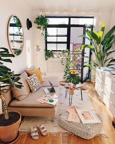 a living room filled with lots of plants next to a couch and table on top of a hard wood floor