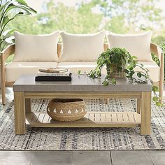 a living room with a couch, table and potted plants on the rugs