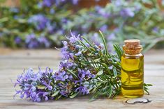 The Best Essential Oils For Gray Hair – Graying With Grace Homemade Hair Oil, Dunner Wordend Haar, Rosemary Oil For Hair, Diy Shampoo, Homemade Hair Products, Essential Oils For Hair, Essential Oil Benefits, Rosemary Oil, Oil Treatments