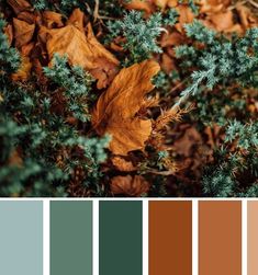 the color palette is green, brown and blue