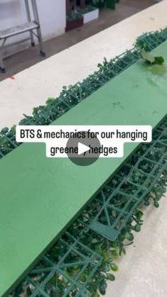 a green conveyor belt with plants growing on it and the words bts & mechanicals for our hanging grand hedges